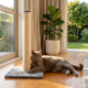 Pup & Purr Harper Tall Cat Scratch Post