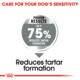 Royal Canin Maxi Dental Care Dry Dog Food