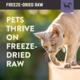 Kiwi Kitchens Venison & Tuna Freeze Dried Cat Food