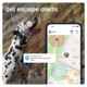 Tractive Dog 6 GPS  and Health Tracker 