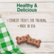 Nylabone Healthy Edibles Biscuits Salmon Dog Treats