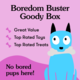PetDirect Goody Box Boredom Buster for Dogs
