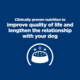 Hill's Prescription Diet k/d j/d Kidney + Mobility Dry Dog Food