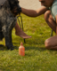 Ashley and Co Awoof Wash, Doug, Dug & Dug Dog Shampoo