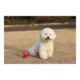 M-PETS Power Chew Dog Tough Toy