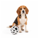 M-PETS Pongo Interactive Treat Dispenser Ball Dog Toy