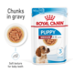 Royal Canin Medium Puppy Wet Food
