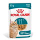 Royal Canin Ageing 11+ in Jelly Wet Cat Food