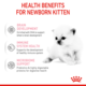 Royal Canin Babycat Milk