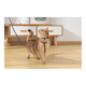 M-PETS Gentle Cat Collar