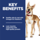 Hill's Science Diet Adult Dry Dog Food