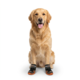 M-PETS Anti-Slip Hiking Dog Shoes