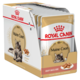 Royal Canin Maine Coon Adult Wet Cat Food