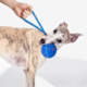 Cheerble Wicked Ball Air Rope Smart Dog Toy