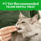 Greenies Oven Roasted Chicken Dental Cat Treats