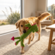 PLAY Dragon Plush Dog Toy
