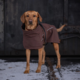 Pointer & Hound Waterproof Dog Jacket 