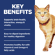 Hill's Science Diet Adult 7+ Senior Vitality Chicken Dry Cat Food
