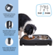 Pup & Purr Elevated Adjustable Double Pet Bowl