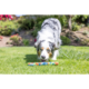 Chuckit! Eco Fetch Stick