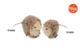 P.L.A.Y. Feline Frenzy Mama & Chip Hedgehog  Cat Toy 
