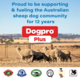 Dogpro Plus Adult Working Dog Aussie Beef Dry Dog Food