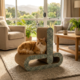 Pup & Purr Scratch and Switch Modular Cardboard Cat Scratcher