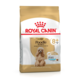 Royal Canin Poodle Adult 8+  Senior Dry Dog Food