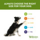 Whimzees Variety Dental Pack Dog Treats