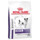 Royal Canin Vet Dental Small Dog Dry Dog Food