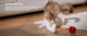 Cheerble Wicked Ball Duo 2 Smart Cat Toy