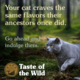 Taste of the Wild PREY Turkey Limited Ingredient Dry Cat Food