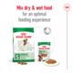 Royal Canin Mini Adult Dry Dog Food Trial Bag