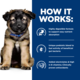 Hill's Prescription Diet i/d Digestive Care Puppy Dry Dog Food