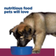 Hill's Prescription Diet i/d Digestive Care Puppy Dry Dog Food