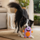 PLAY Monster Plush Dog Toy
