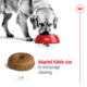Royal Canin Maxi Ageing 8+ Dry Dog Food