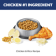 Hill's Science Diet Adult Urinary Hairball Control Chicken Dry Cat Food