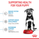 Royal Canin Maxi Puppy Dry Dog Food Trial Bag