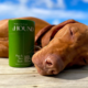 Holistic Hound Dog Soothing Paw & Skin Soak