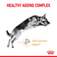 Royal Canin German Shepherd Adult 5+ Senior Dry Dog Food