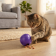 KONG Treat Dispensing Ball Cat Toy