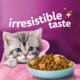 Whiskas Kitten Chicken & Tuna Dry Cat Food