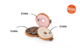 P.L.A.Y. Feline Frenzy Kitty Kreme Doughnuts Cat Toy