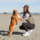 Pointer & Hound Walk Bag 