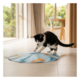 M-PETS Sirius Interactive 2-in-1 Cat Toy