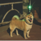 M-PETS Flash Clip-On LED Dog Light