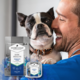 Ivory Coat Raw Health Sensitive Care Lamb Adult Dry Dog Food