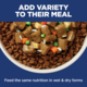 Hill's Science Diet Adult Sensitive Stomach & Skin Salmon Dry Dog Food