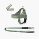 Dog Friendly Co. Premium Dog Signature Kit